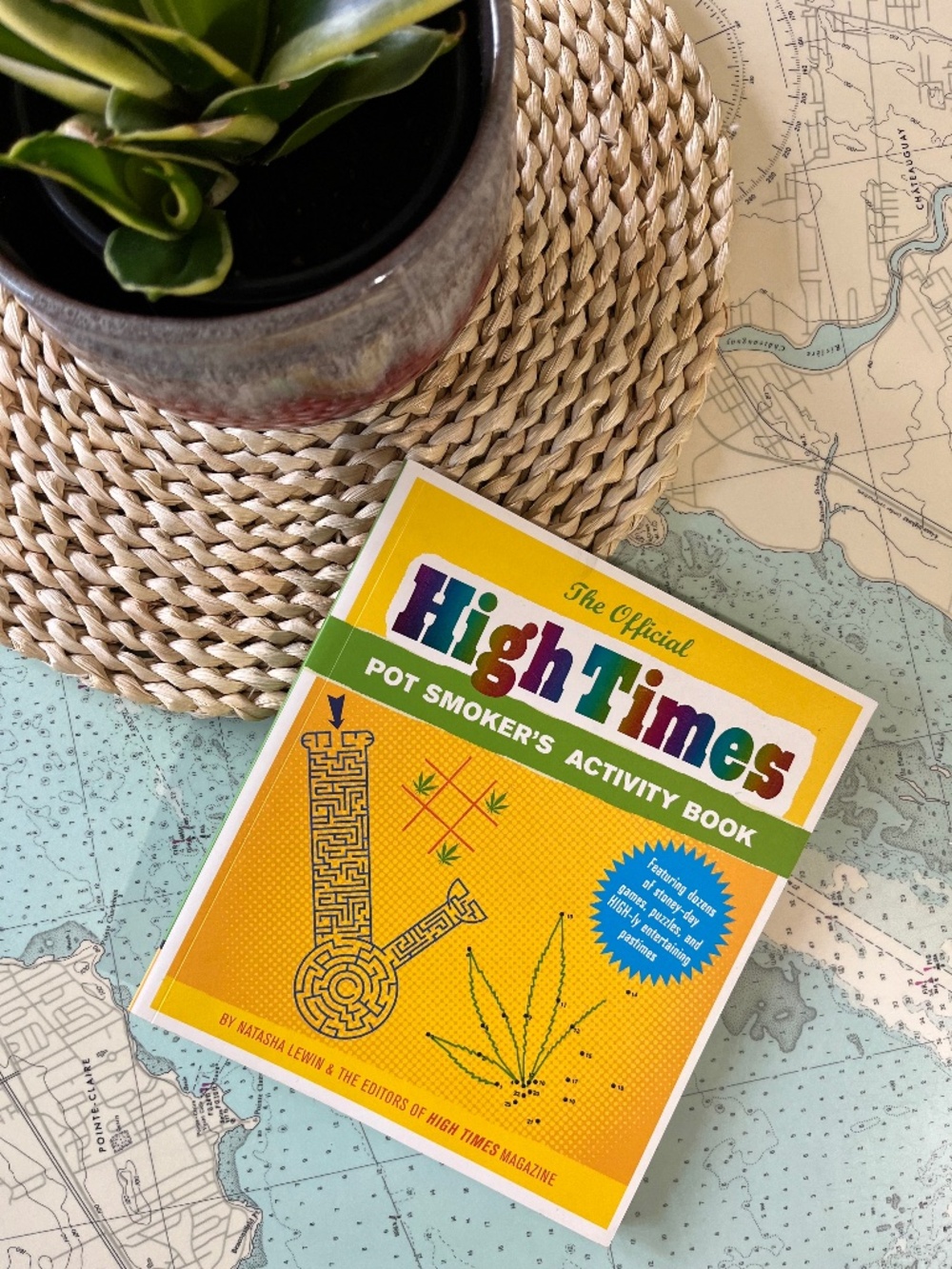 2010 The Official High Times Pot Smoker's Activity Book